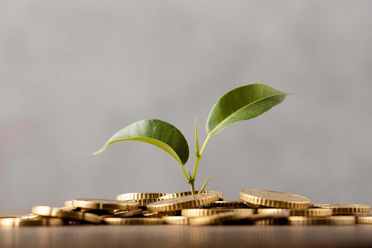 Mutual Fund Investment